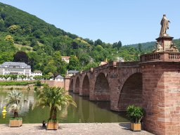 heidelberg_50