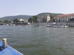 heidelberg_72
